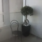 中央套房公寓