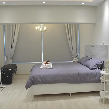 公寓 中央套房公寓 尼科西亚