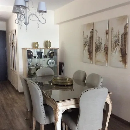 公寓 中央套房公寓 *