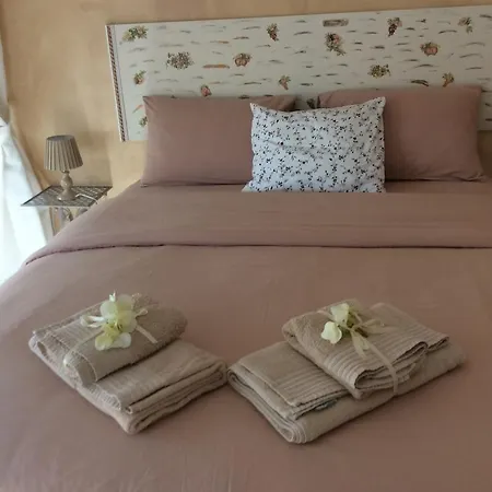 中央套房公寓 *